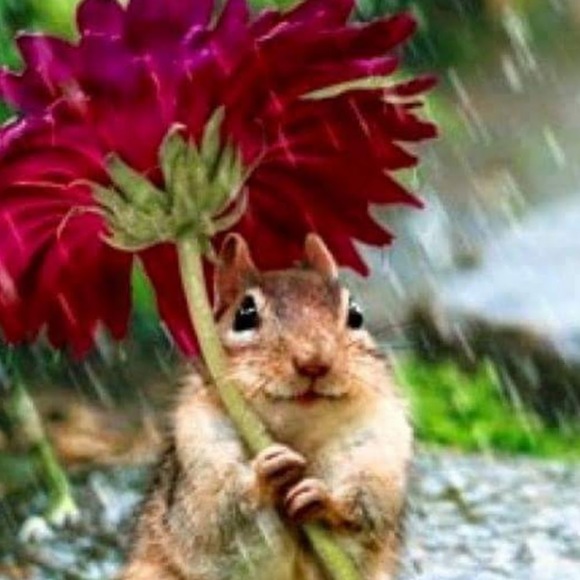 Meet your Posher, Madeline - Picture 1 of 1